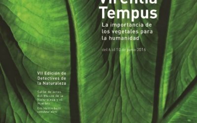CONFERENCIA Viernes 10 Junio a las 19:00 Horas en MNH. “Obras de arte en los entornos botánicos. Dos ejemplos en el Puerto de la Cruz” Dra. Dª Ana María Díaz Pérez, Académica de las Reales Academias de Medicina y de Bellas Artes de Santa Cruz de Tenerife.