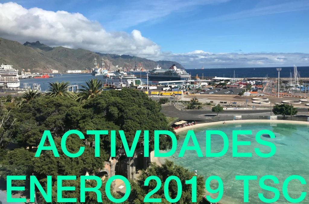 ACTIVIDADES ENERO 2019