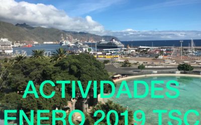 ACTIVIDADES ENERO 2019