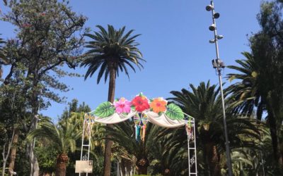 ACTIVIDADES MAYO 2019 TSC