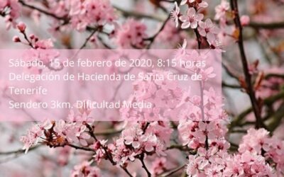 LXXXIX Itinerario Cultural «Entre Almendros…» Sábado 15 febrero 2020, 08:15 horas; Delegación Hacienda Santa Cruz de Tenerife.