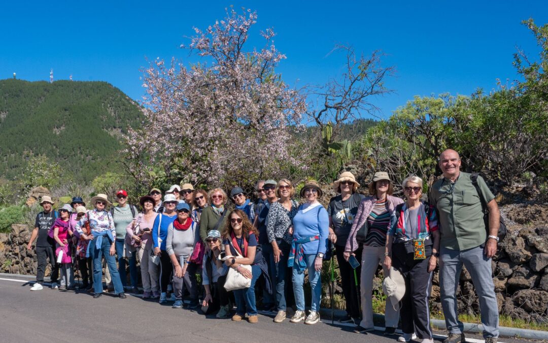 Itinerario Cultural TuSantaCruz 125. Almendros en Flor