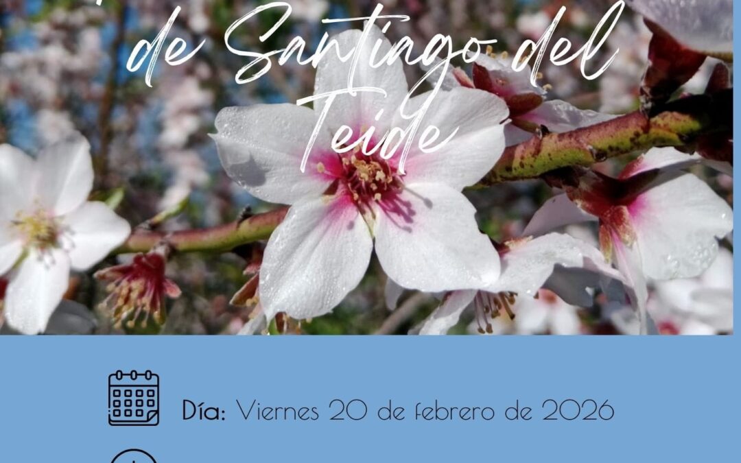 Itinerario Almendros en Flor – Santiago del Teide 🌸